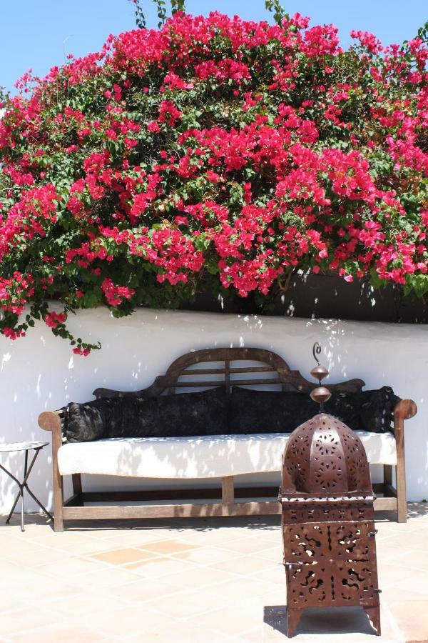 Boutique Bed & Breakfast Casa Utopia Alcaucín Kültér fotó